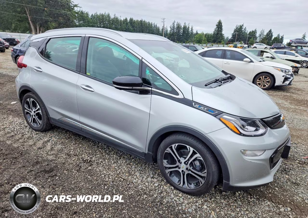 2019 Chevrolet Bolt Ev Premier VIN:1G1FZ6S01K4117204 - 4