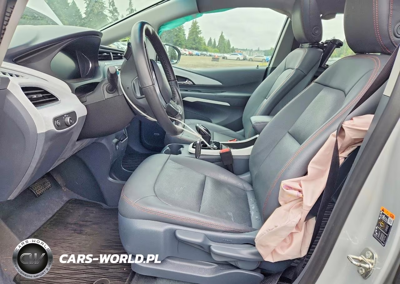 2019 Chevrolet Bolt Ev Premier VIN:1G1FZ6S01K4117204 - 7