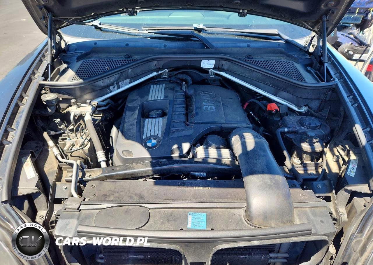 2009 BMW X6 xDrive35I VIN:5UXFG43559L223133 - 12