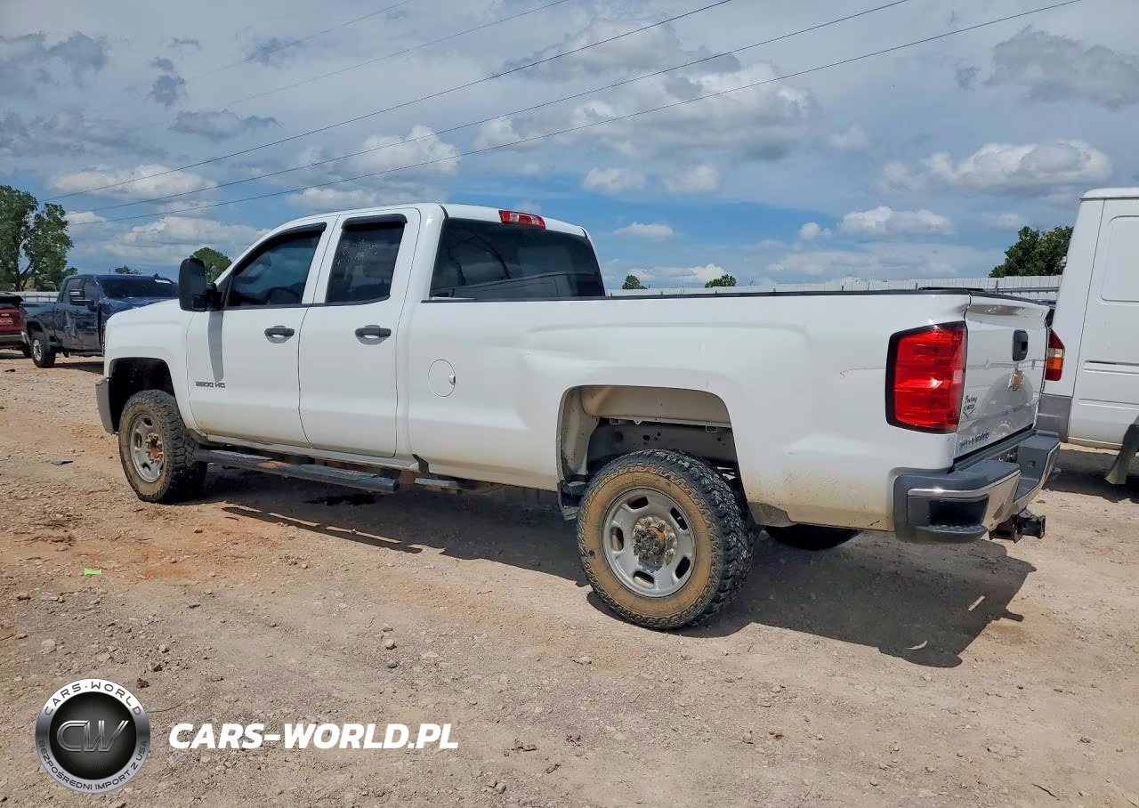 2019 Chevrolet Silverado C2500 Heavy Duty VIN:2GC2CREGXK1225866 - 2