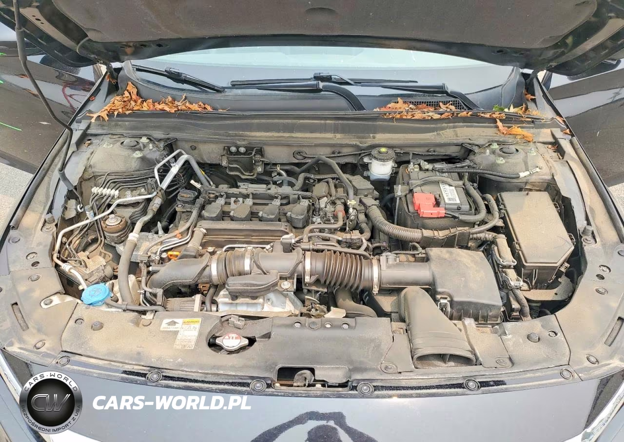 2022 Honda Accord Exl VIN:1HGCV1F55NA026488 - 11