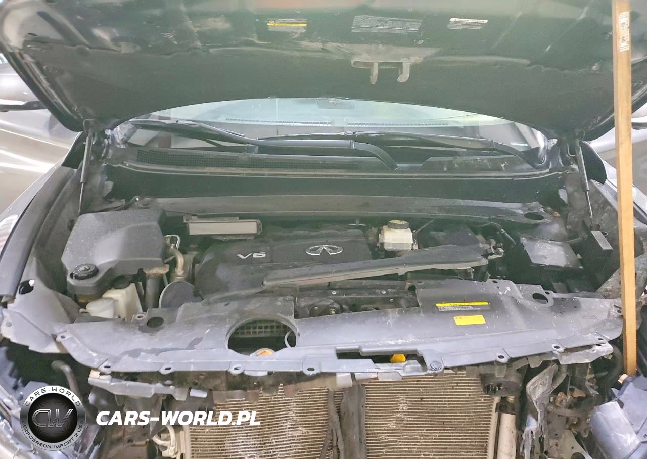 2019 Infiniti Qx60 Pure VIN:5N1DL0MM1KC505614 - 12