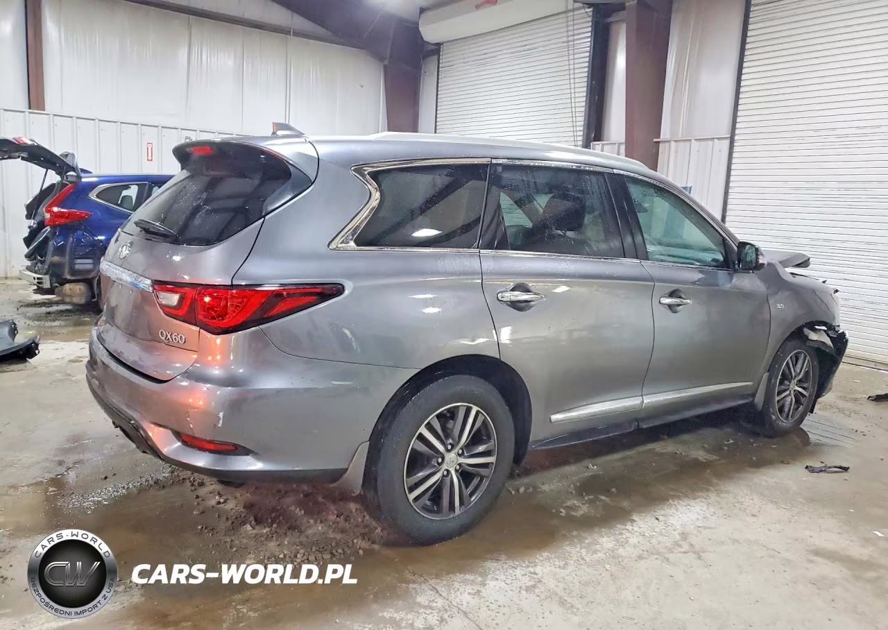 2019 Infiniti Qx60 Pure VIN:5N1DL0MM1KC505614 - 3