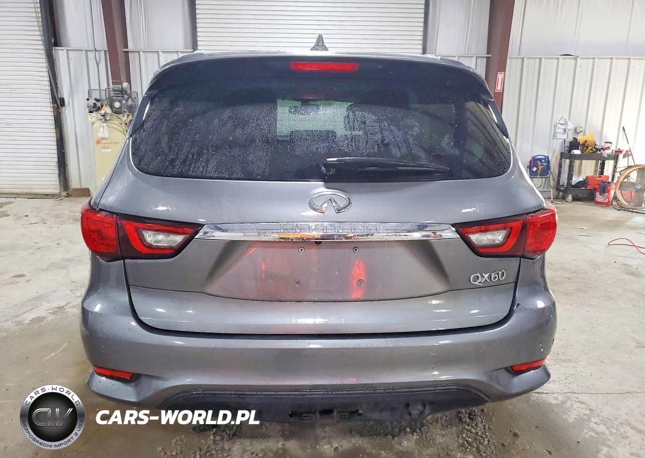 2019 Infiniti Qx60 Pure VIN:5N1DL0MM1KC505614 - 6