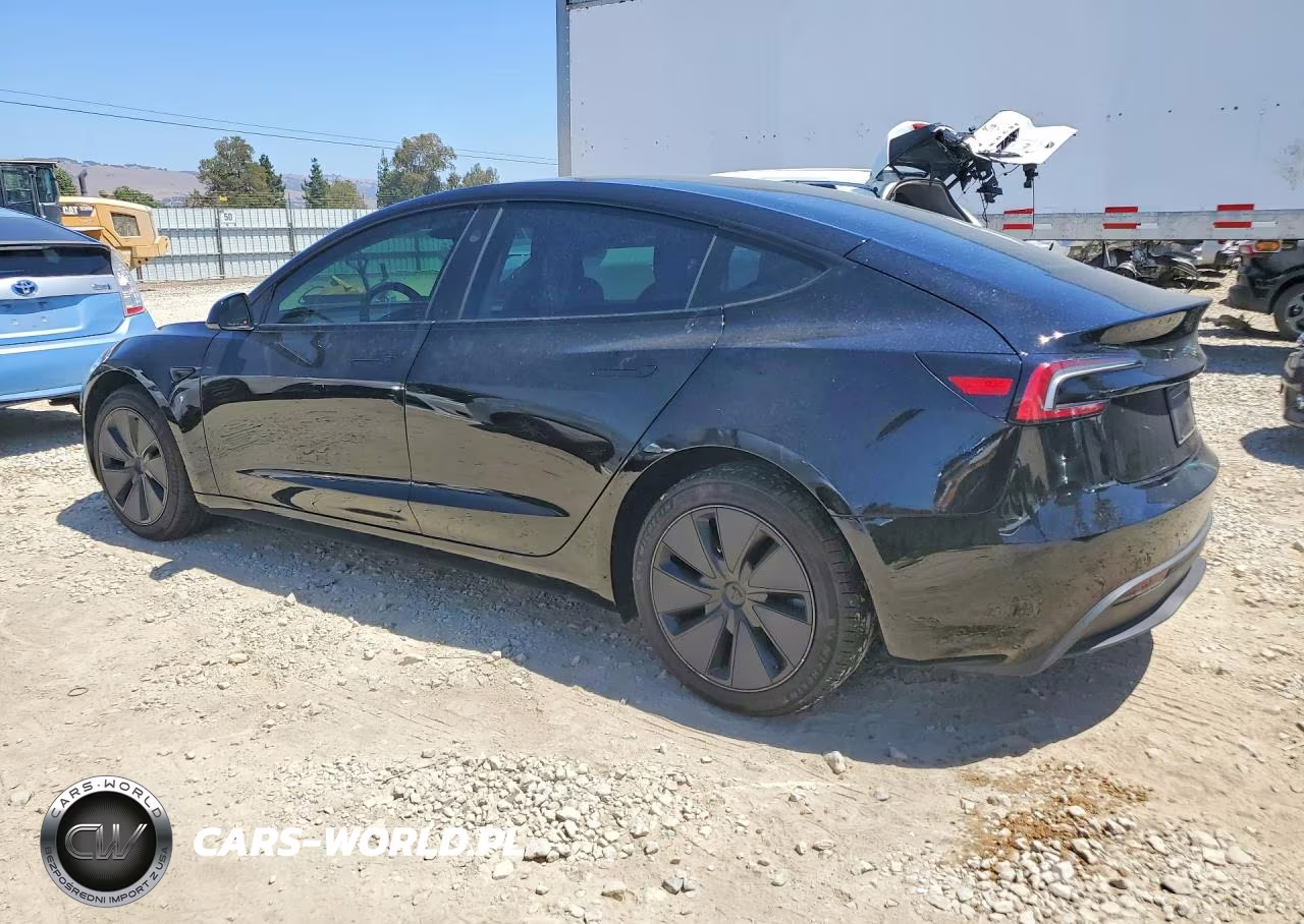 2025 Tesla Model 3 VIN:5YJ3E1EA8SF941562 - 2