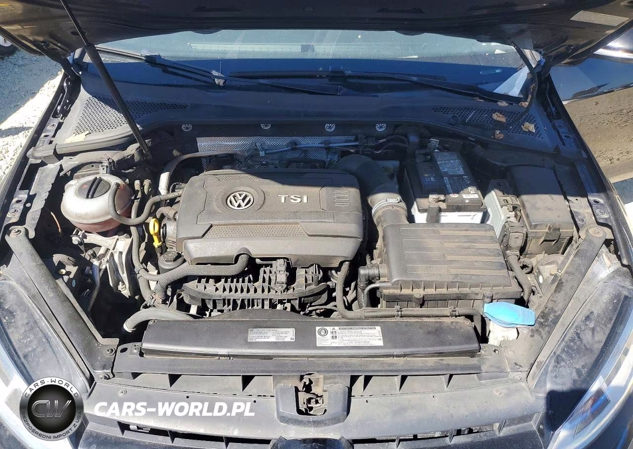 2016 Volkswagen Golf Sportwagen S VIN:3VWC17AU0GM520451 - 11