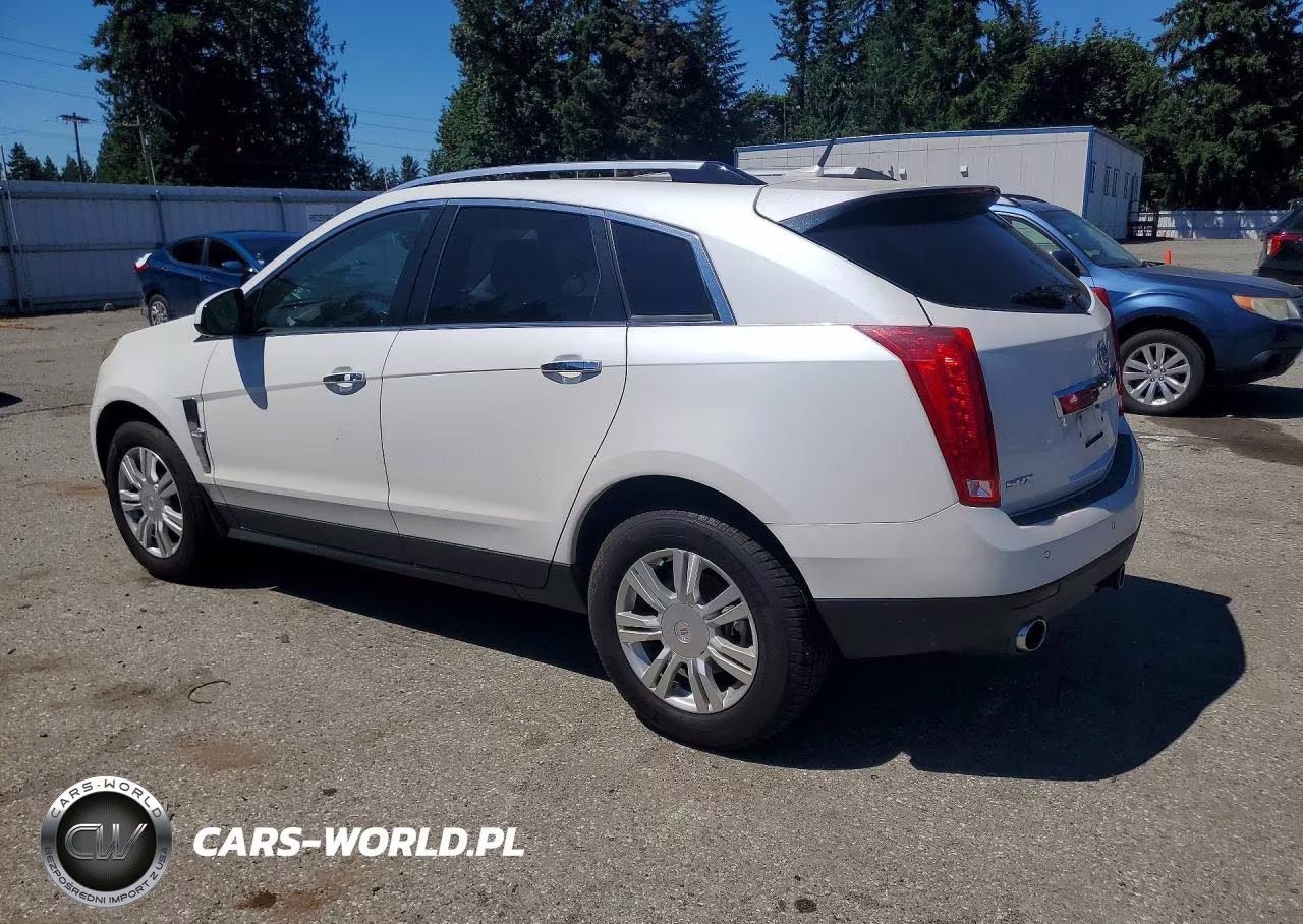 2011 Cadillac Srx Luxury Collection VIN:3GYFNAEY9BS572674 - 2
