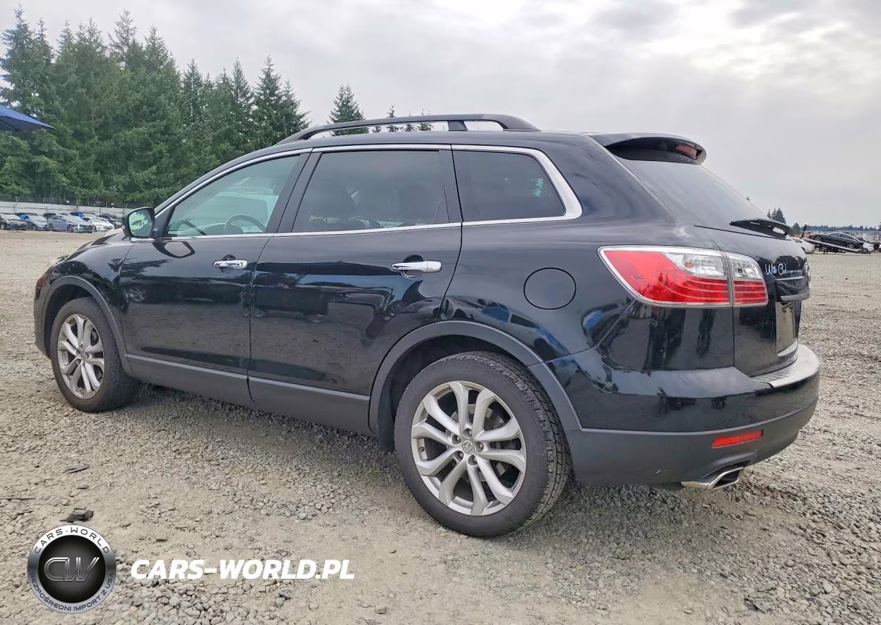 2011 Mazda Cx-9 VIN:JM3TB2DVXB0316833 - 2