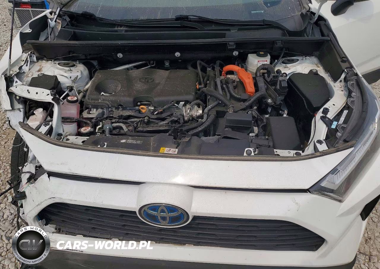 2023 Toyota Rav4 Le VIN:4T3LWRFV3PU108637 - 12