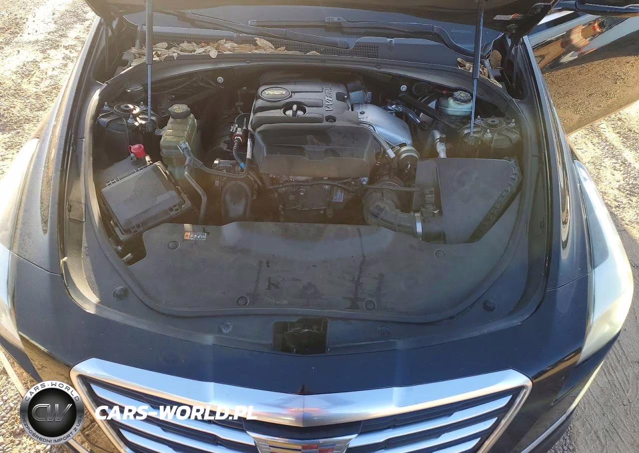 2016 Cadillac Cts VIN:1G6AP5SX0G0101995 - 11