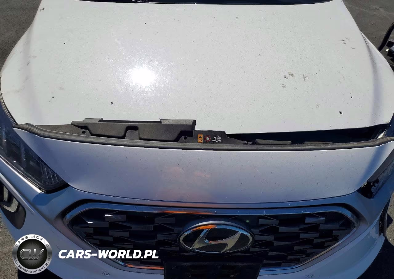 2021 Hyundai Ioniq Limited VIN:KMHC05LC3MU255283 - 11