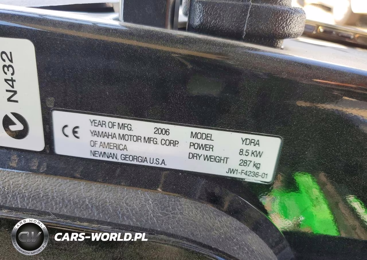 2006 Yamaha Golf Cart VIN:JW1F423601 - 10