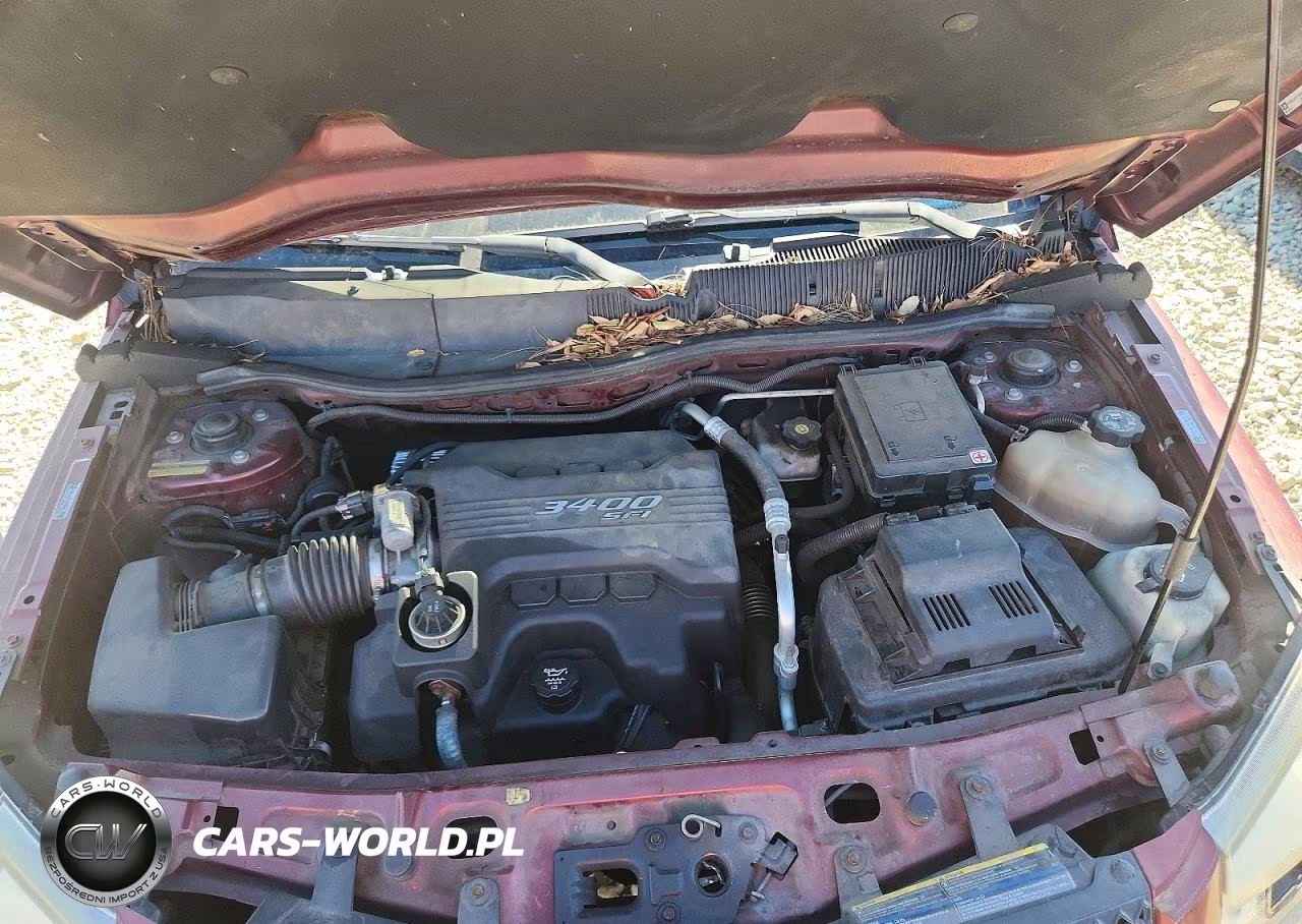 2009 Chevrolet Equinox Lt VIN:2CNDL43F196206217 - 12