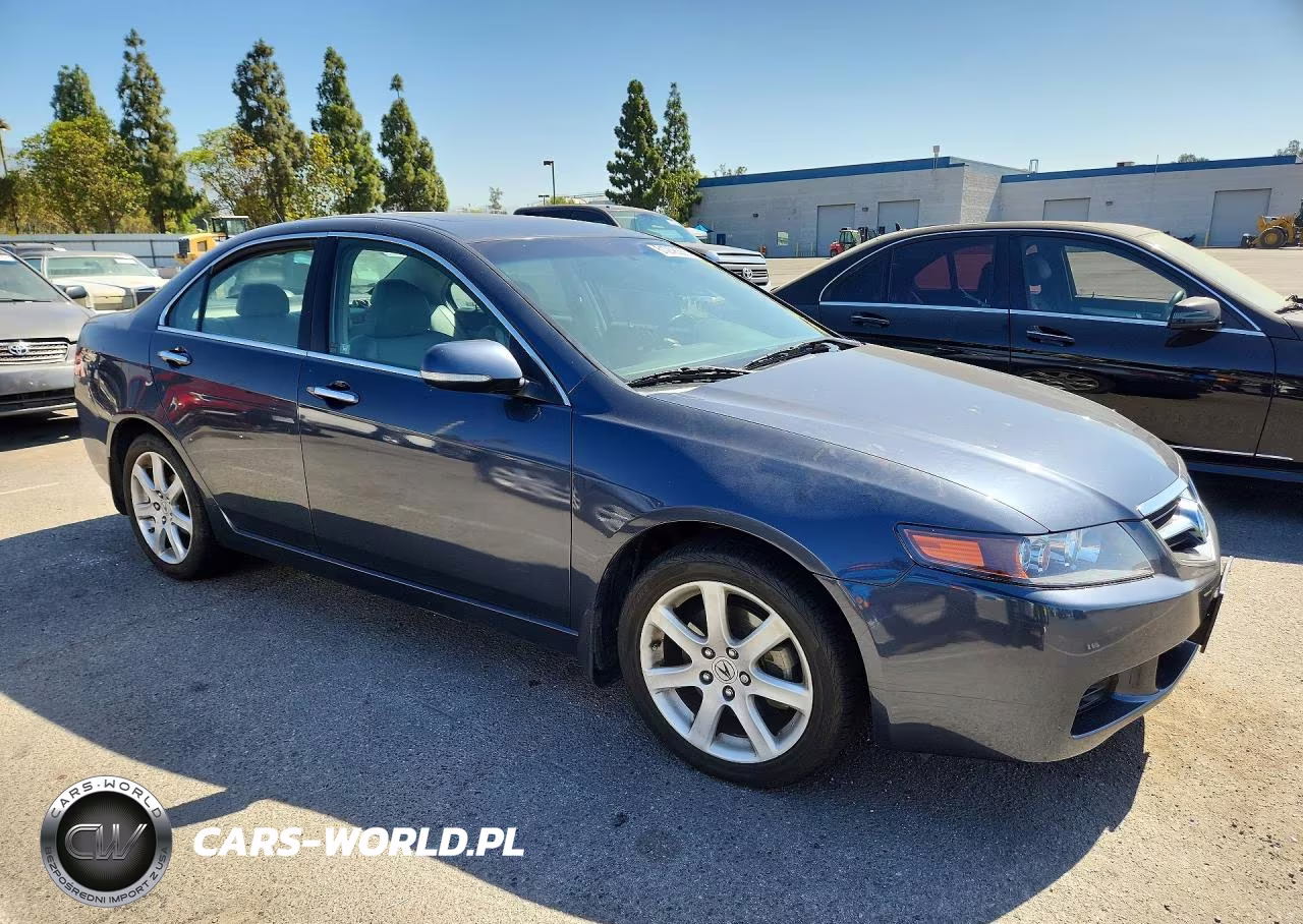 2004 Acura Tsx VIN:JH4CL96894C043857 - 4