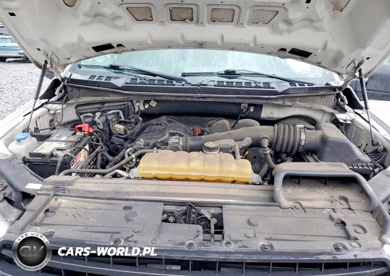 2019 Ford F150 VIN:1FTMF1CB7KKE68494 - 11