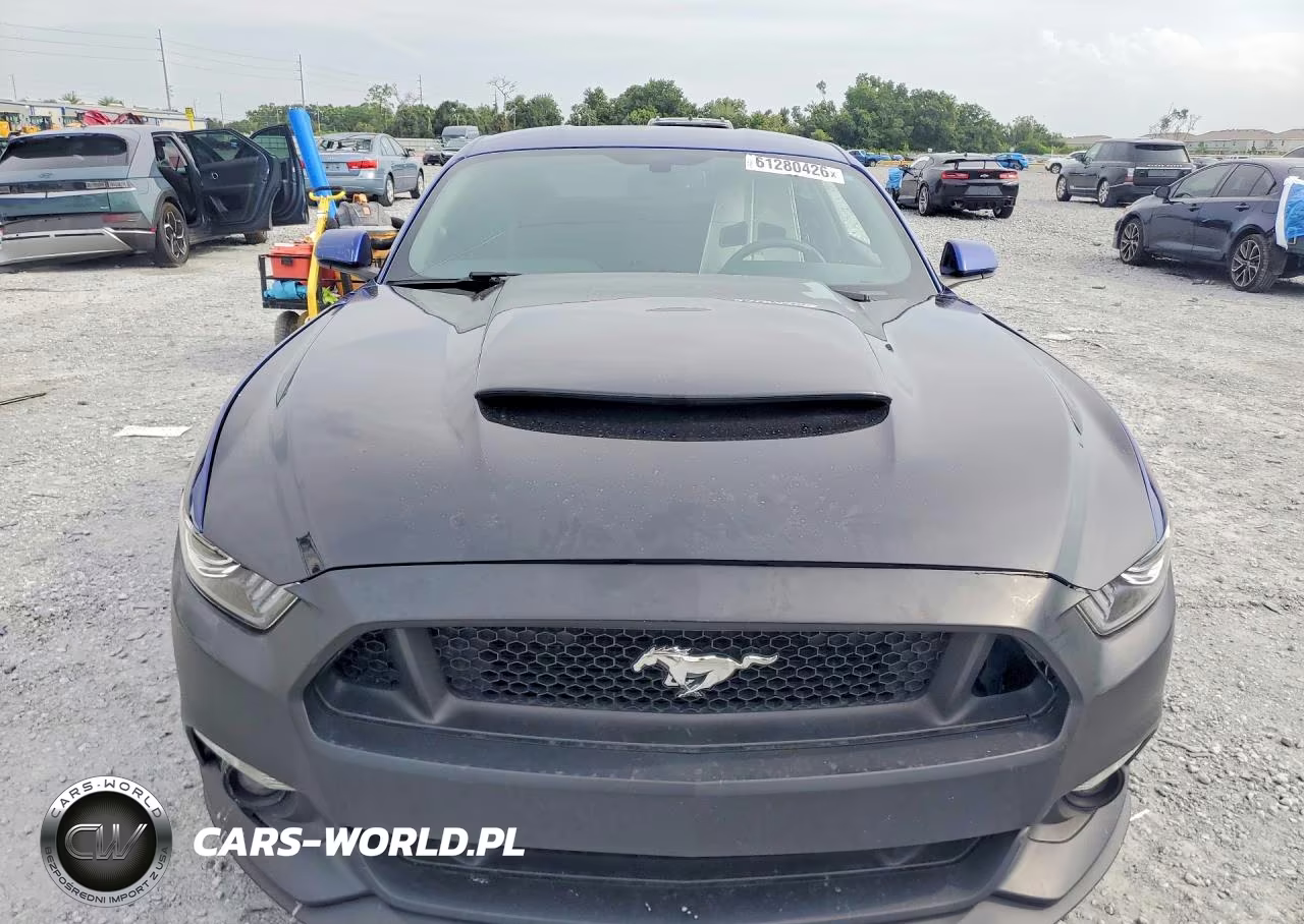 2016 Ford Mustang Gt VIN:1FA6P8CF2G5321805 - 5