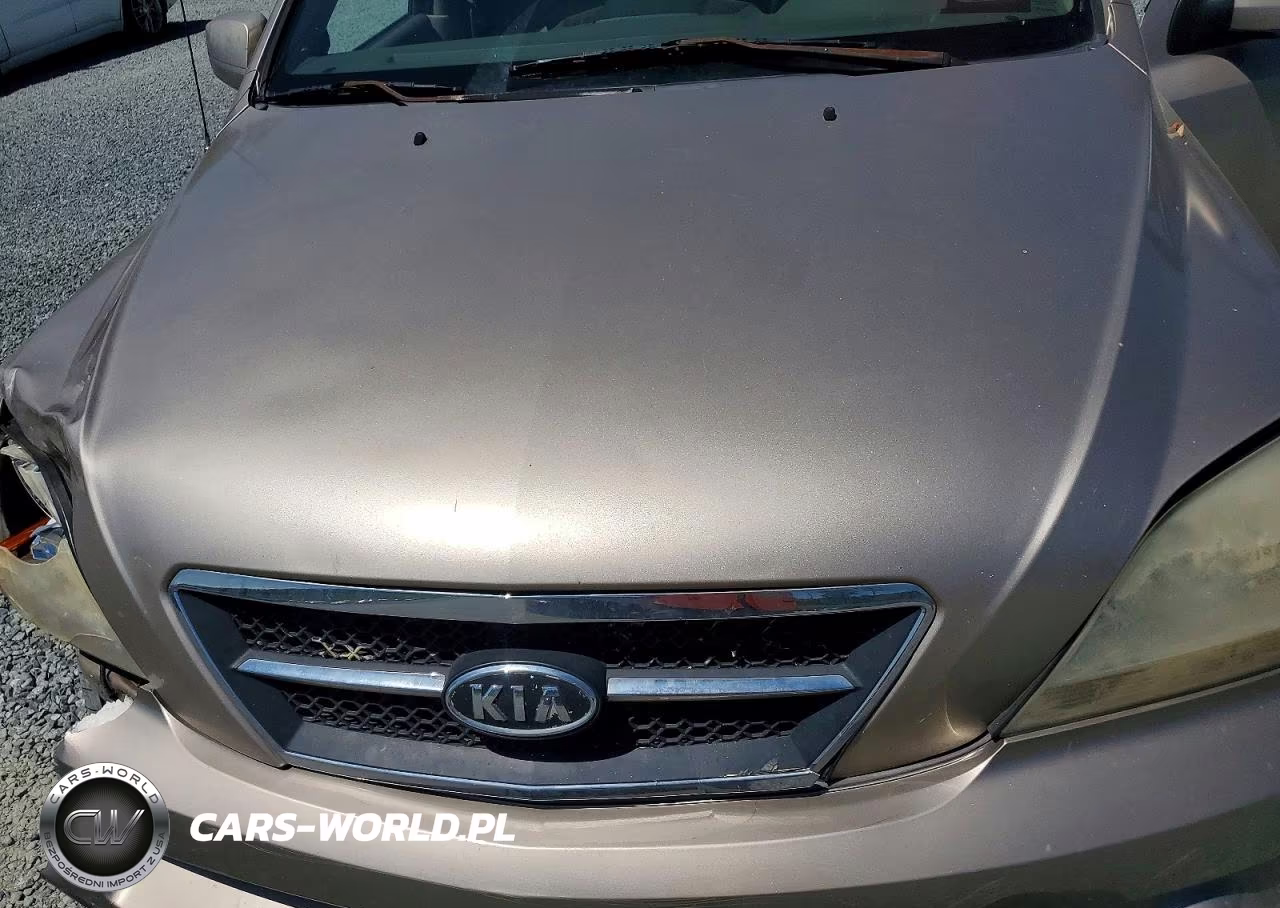 2005 Kia Sorento Lx VIN:KNDJD733355450551 - 11