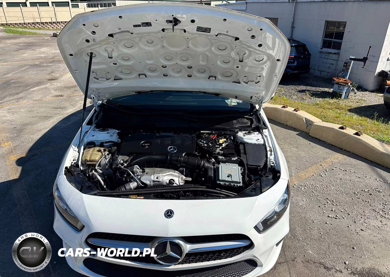 2019 Mercedes-Benz A 220 VIN:WDD3G4EB2KW034599 - 9