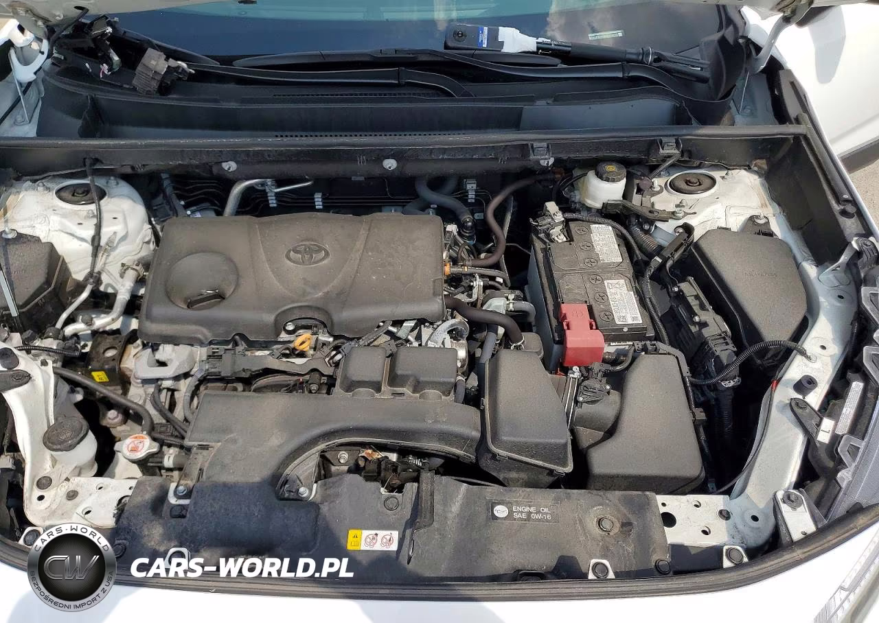 2023 Toyota Rav4 Xle VIN:2T3P1RFV8PC379226 - 12