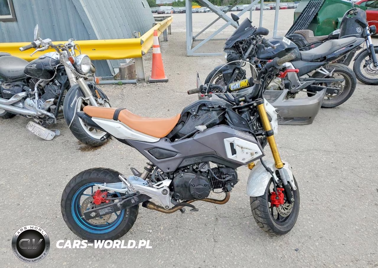 2018 Honda Grom