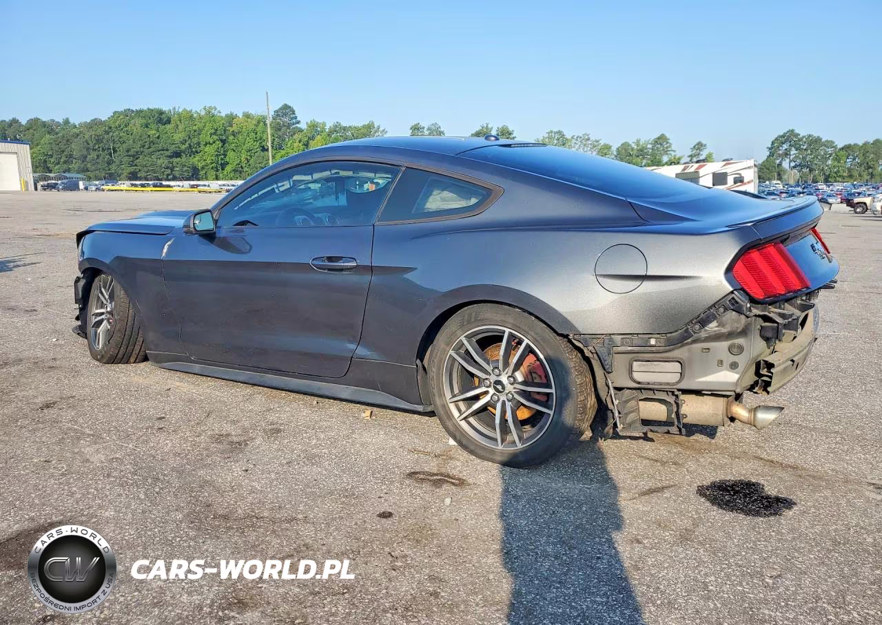 2017 Ford Mustang VIN:1FA6P8TH6H5310311 - 2