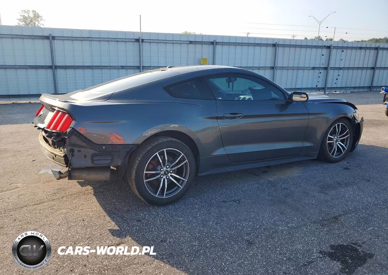 2017 Ford Mustang VIN:1FA6P8TH6H5310311 - 3