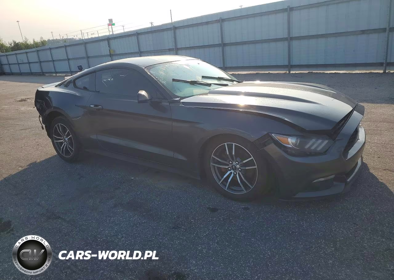 2017 Ford Mustang VIN:1FA6P8TH6H5310311 - 4