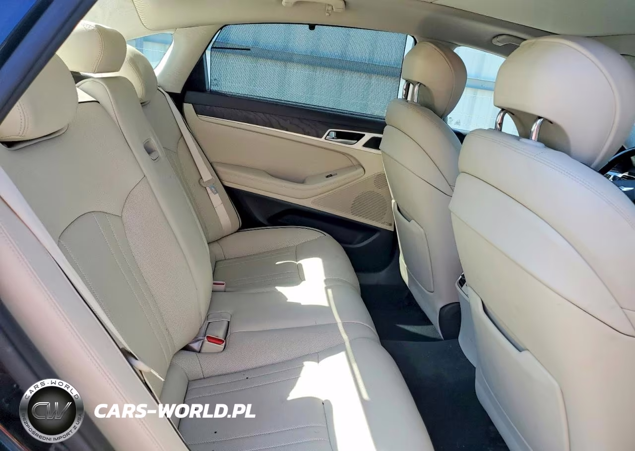 2015 Hyundai Genesis 5.0L VIN:KMHGN4JF1FU029837 - 10