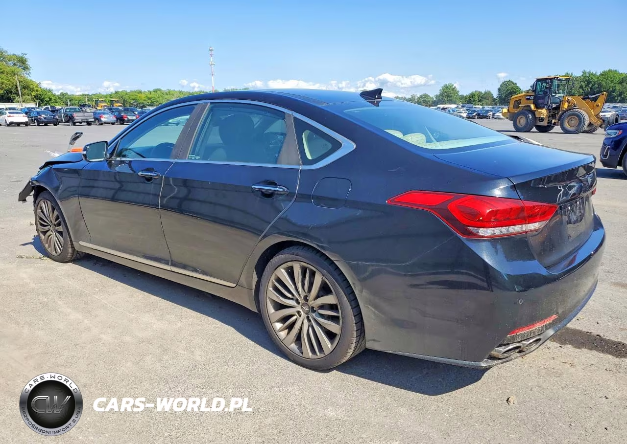 2015 Hyundai Genesis 5.0L VIN:KMHGN4JF1FU029837 - 2