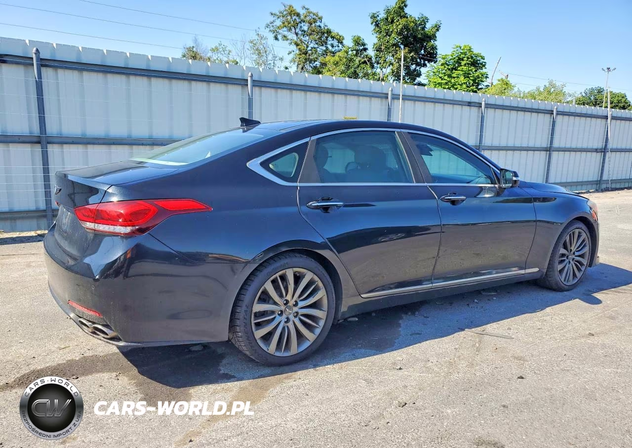 2015 Hyundai Genesis 5.0L VIN:KMHGN4JF1FU029837 - 3