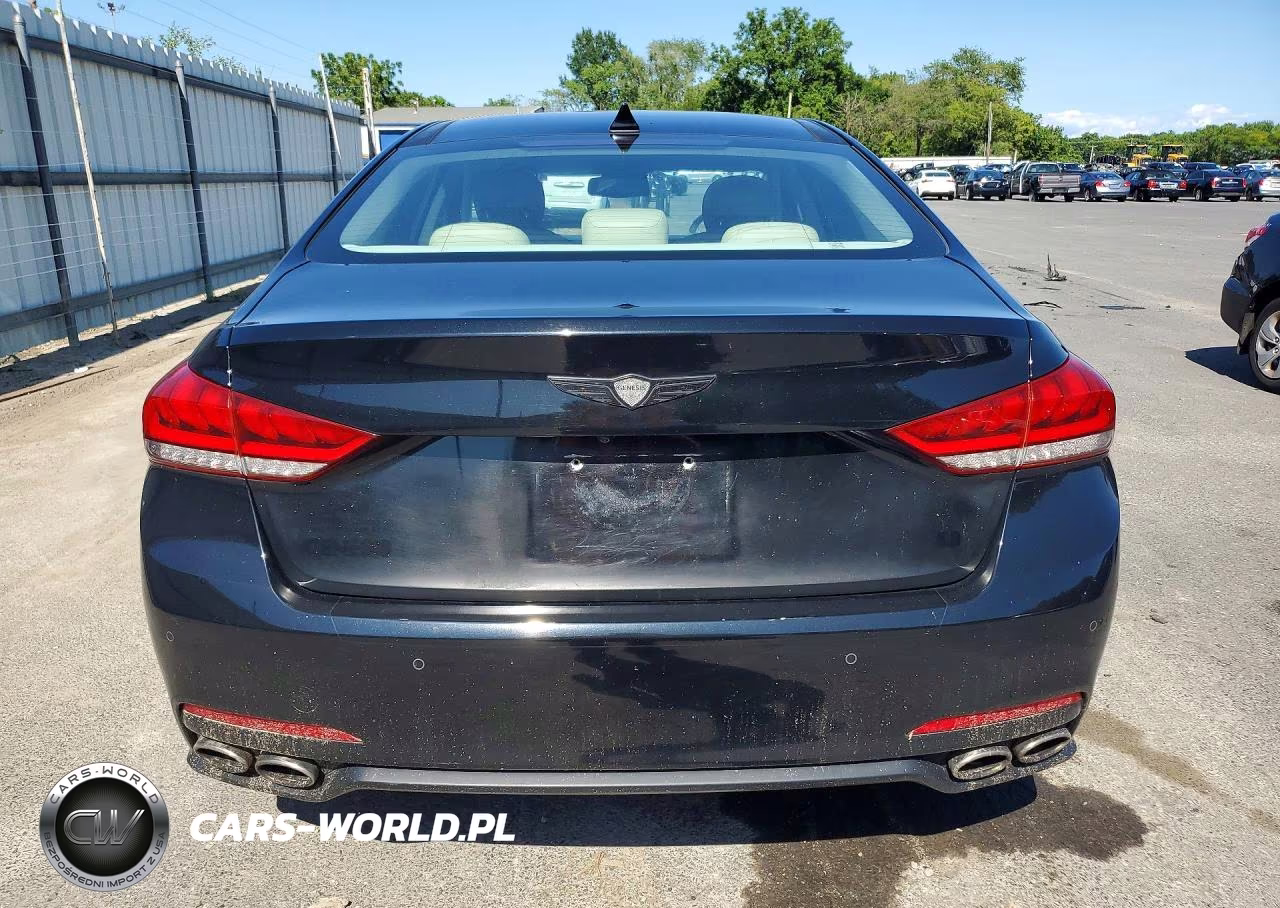 2015 Hyundai Genesis 5.0L VIN:KMHGN4JF1FU029837 - 6