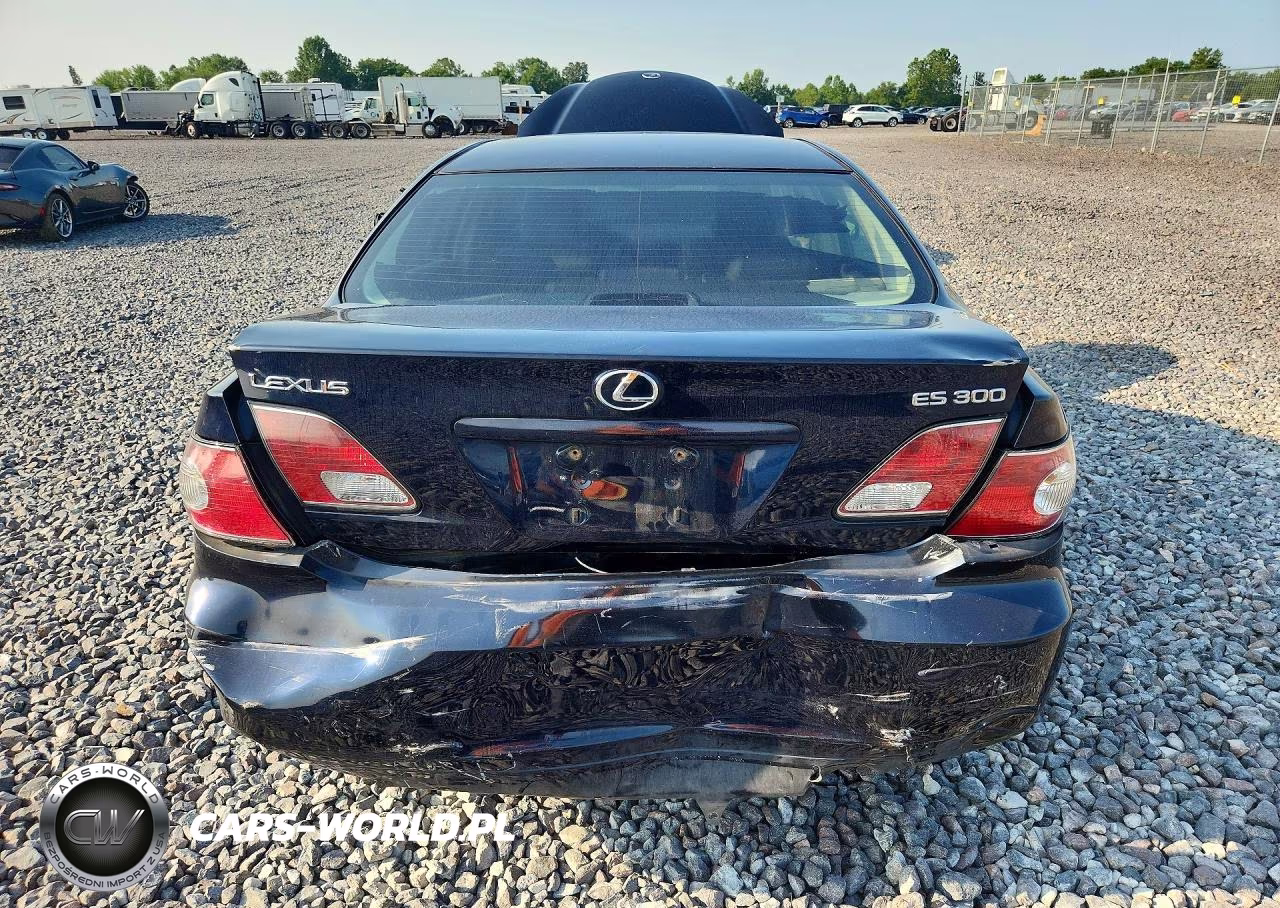 2002 Lexus Es 300 VIN:JTHBF30G225020664 - 6