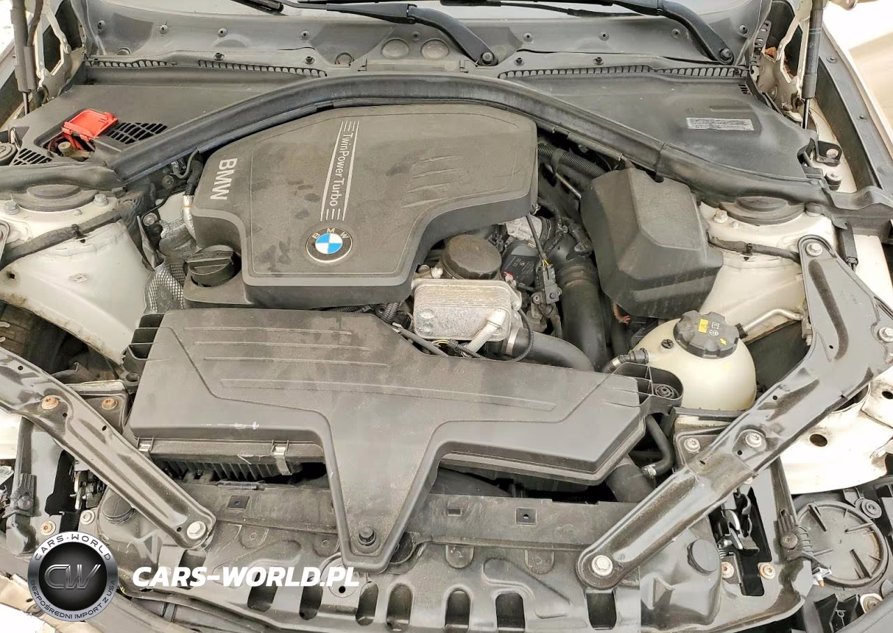 2015 BMW 428 Xi VIN:WBA3V9C54FP799191 - 11