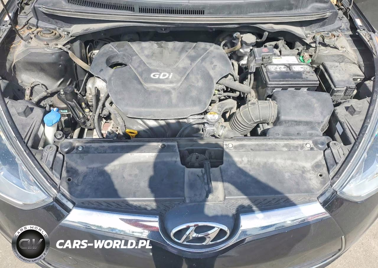 2013 Hyundai Veloster Base VIN:KMHTC6AD1DU102930 - 11