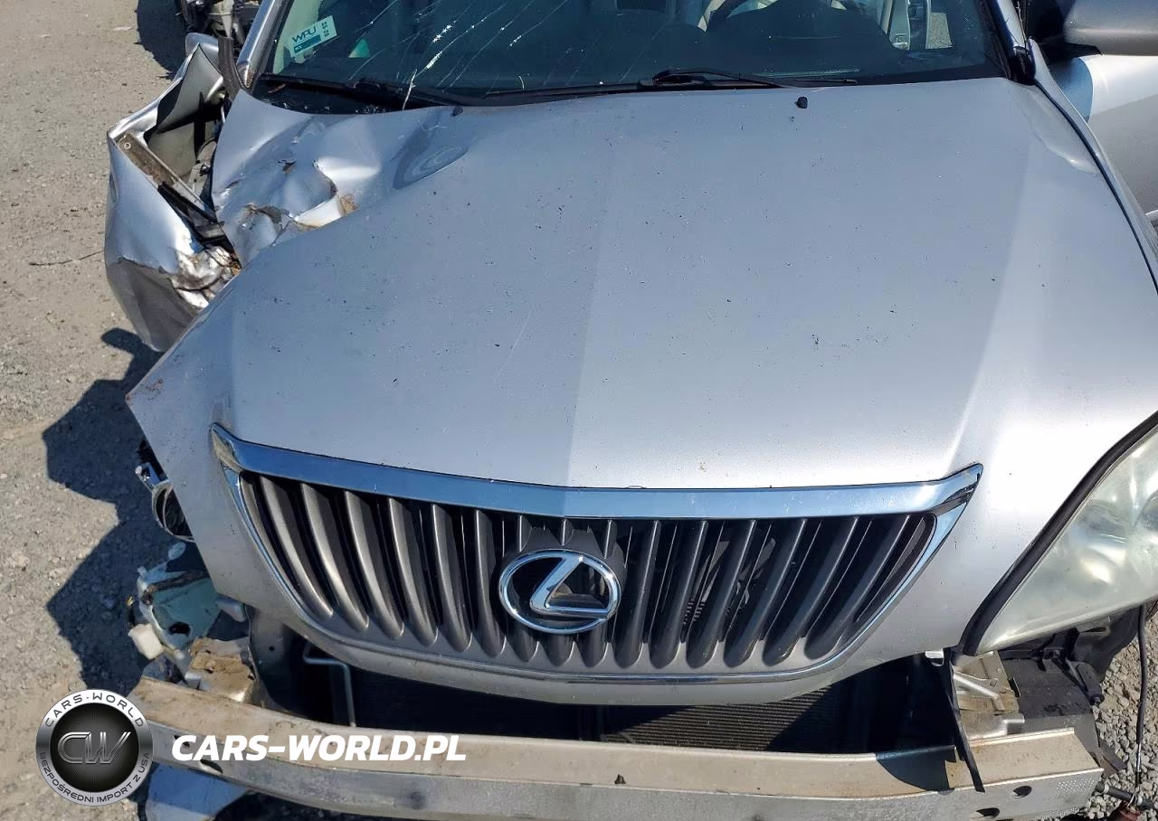 2009 Lexus Rx 350 VIN:2T2GK31U89C061574 - 12