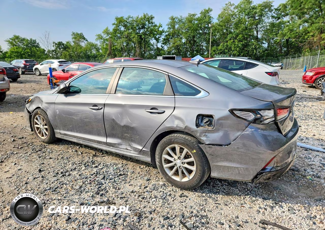 2019 Hyundai Sonata Se VIN:5NPE24AF3KH755837 - 2