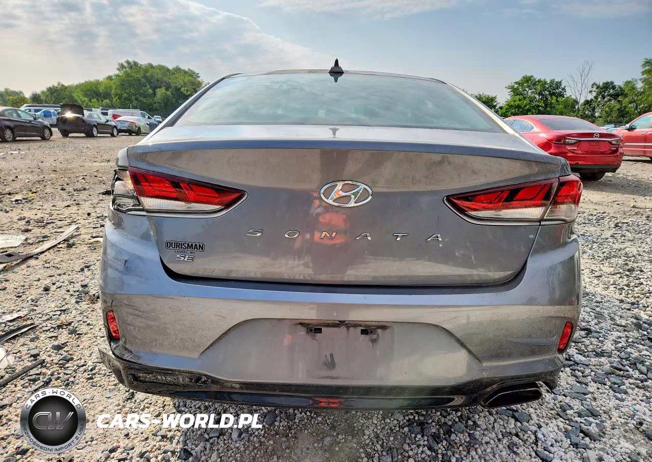 2019 Hyundai Sonata Se VIN:5NPE24AF3KH755837 - 6