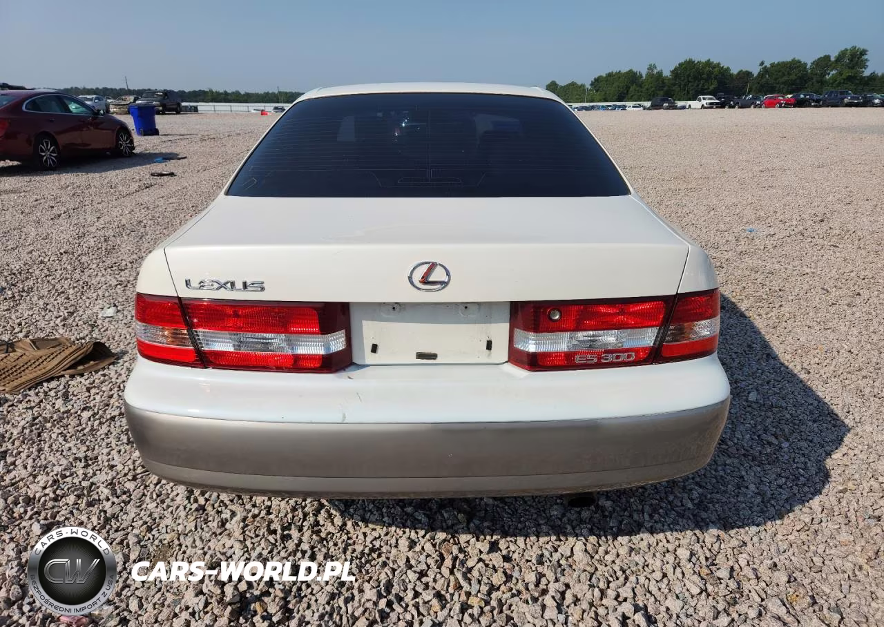 2001 Lexus Es 300 VIN:JT8BF28GX15104034 - 6