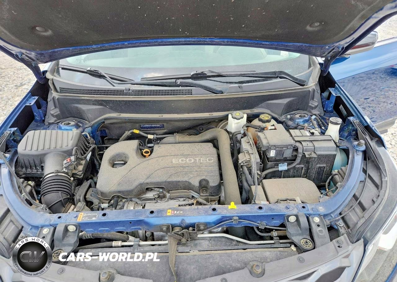 2019 Chevrolet Equinox Lt VIN:2GNAXUEV7K6183166 - 12