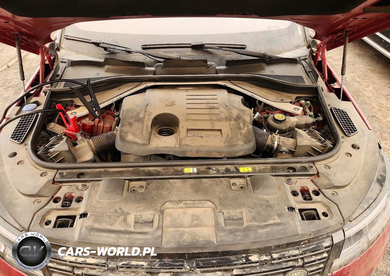 2023 Land Rover Range Rover Sport Dynamic Se VIN:SAL1L9FU6PA104435 - 12