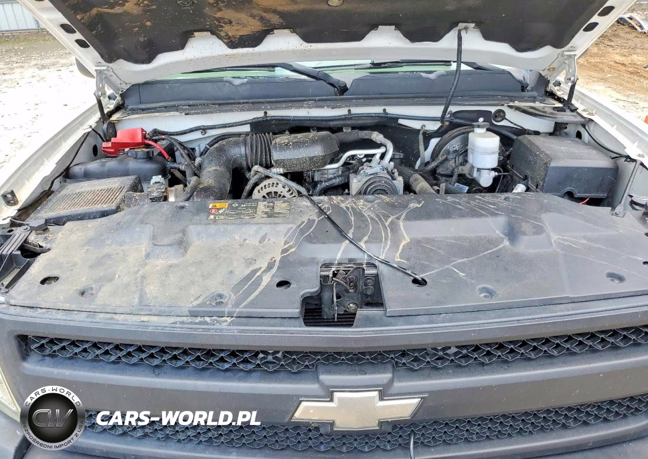 2013 Chevrolet Silverado C1500 VIN:1GCNCPEX1DZ261022 - 11