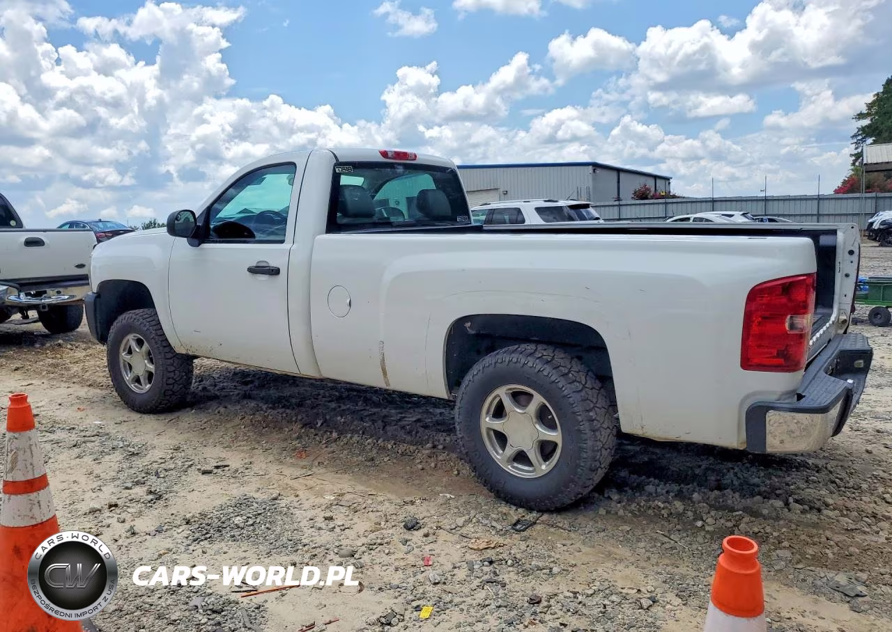 2013 Chevrolet Silverado C1500 VIN:1GCNCPEX1DZ261022 - 2