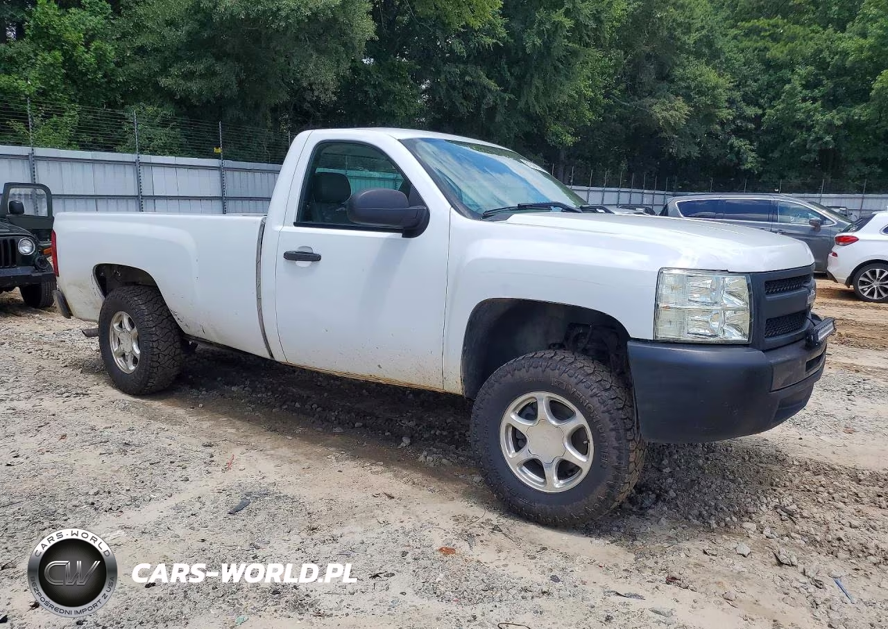 2013 Chevrolet Silverado C1500 VIN:1GCNCPEX1DZ261022 - 4