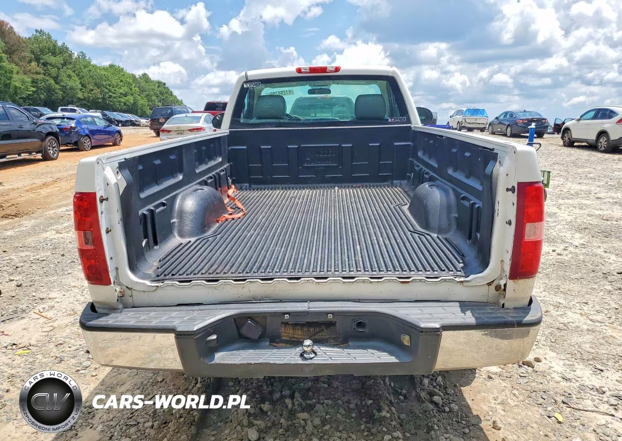 2013 Chevrolet Silverado C1500 VIN:1GCNCPEX1DZ261022 - 6