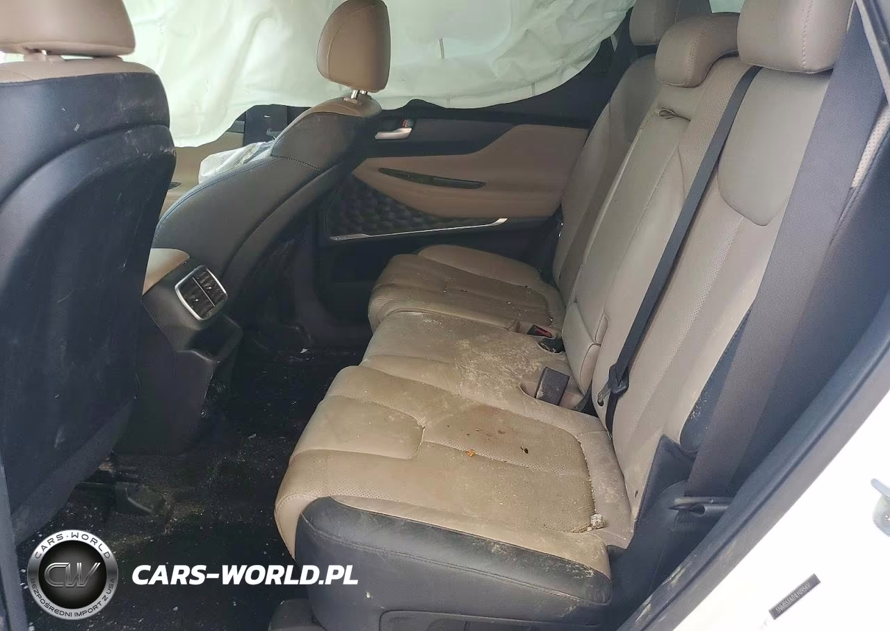 2020 Hyundai Santa Fe Limited VIN:5NMS53AD1LH295417 - 11