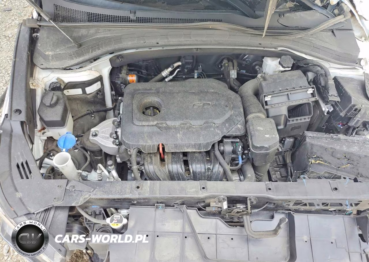 2020 Hyundai Santa Fe Limited VIN:5NMS53AD1LH295417 - 12