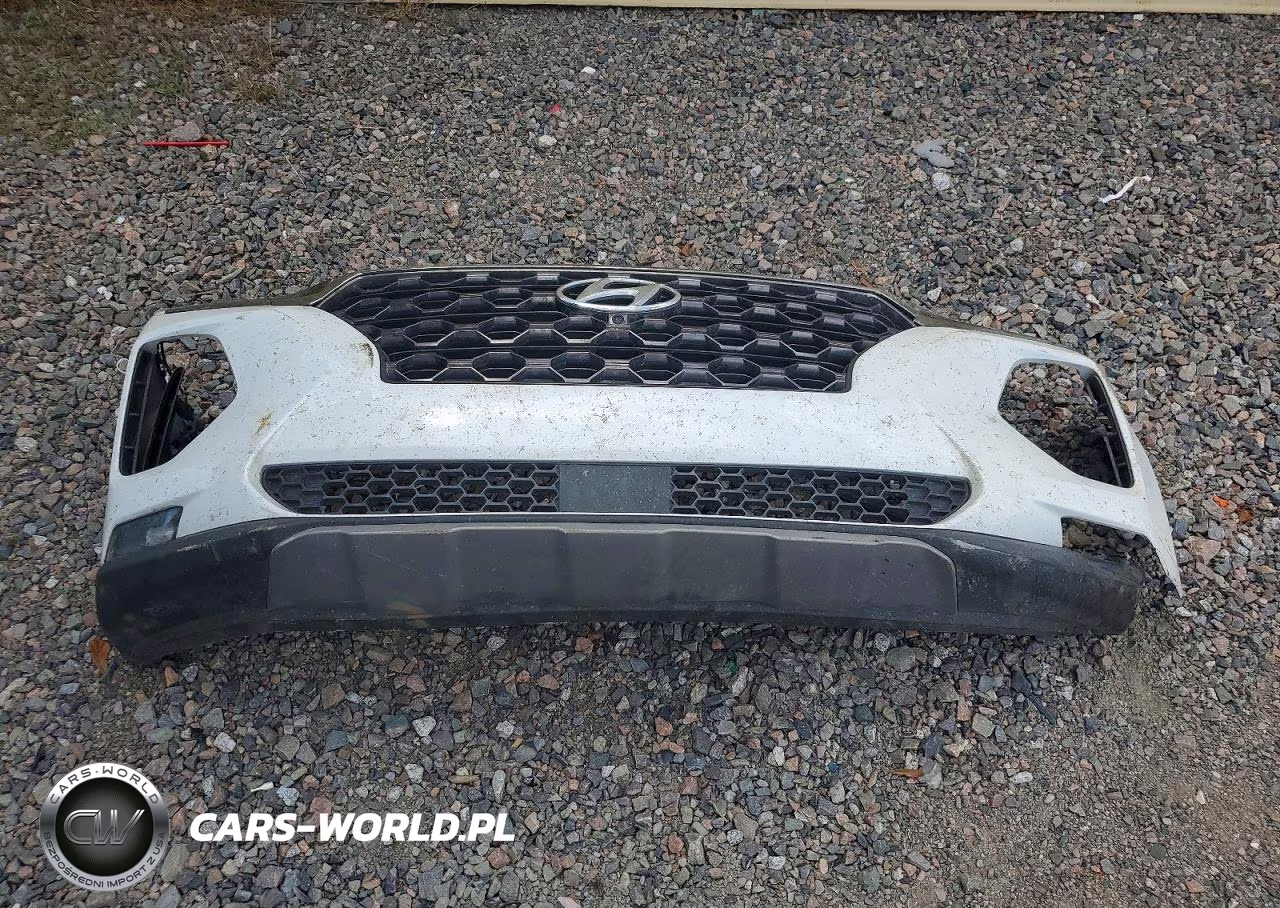 2020 Hyundai Santa Fe Limited VIN:5NMS53AD1LH295417 - 13
