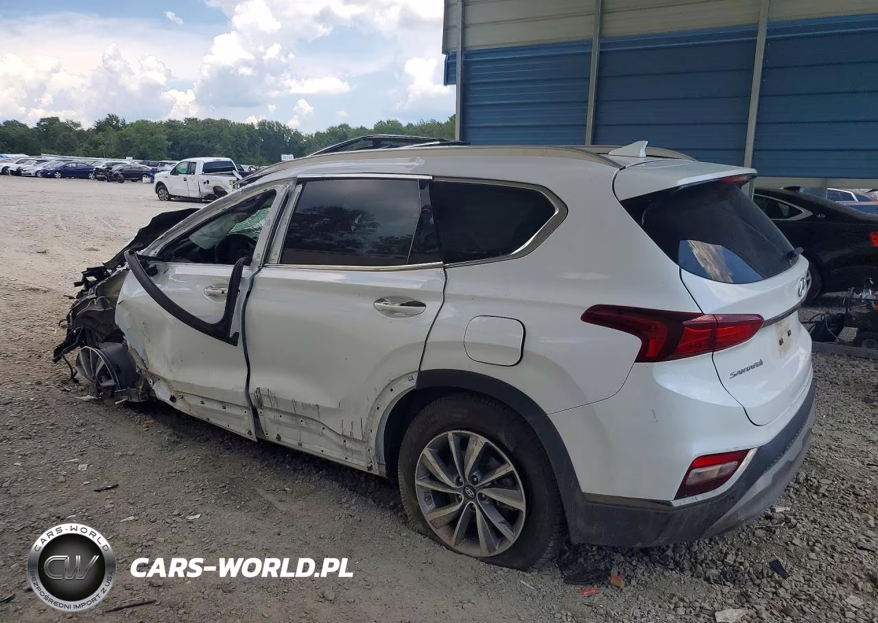 2020 Hyundai Santa Fe Limited VIN:5NMS53AD1LH295417 - 2