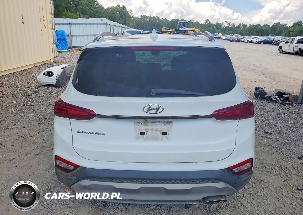 2020 Hyundai Santa Fe Limited VIN:5NMS53AD1LH295417 - 6