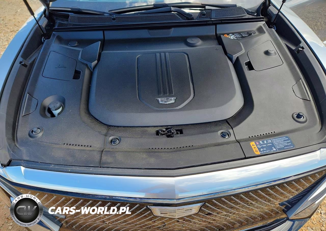 2024 Cadillac Lyriq Luxury VIN:1GYKPRRK1RZ124827 - 12
